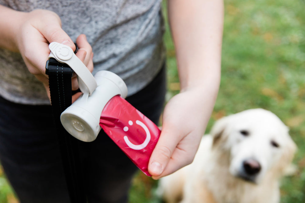 Ubbi rouleaux parfum lavande, parfaits pour promenades et activités extérieures.