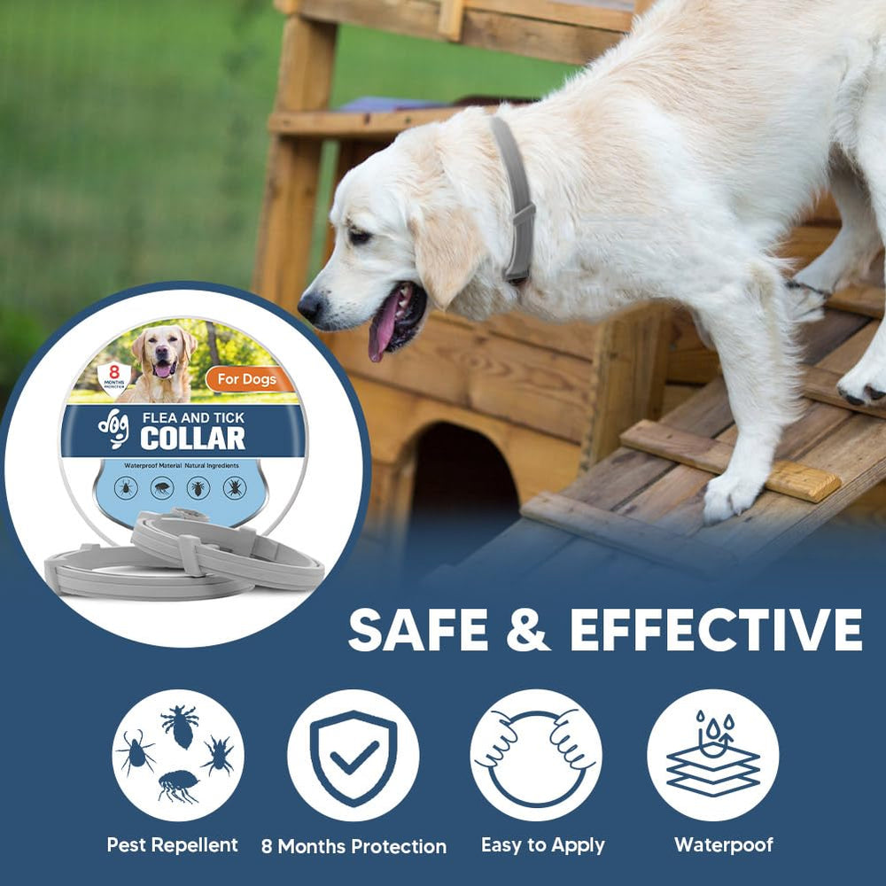  Paquet de deux colliers UDyoude – idéal pour chiens de grande taille et rotation.