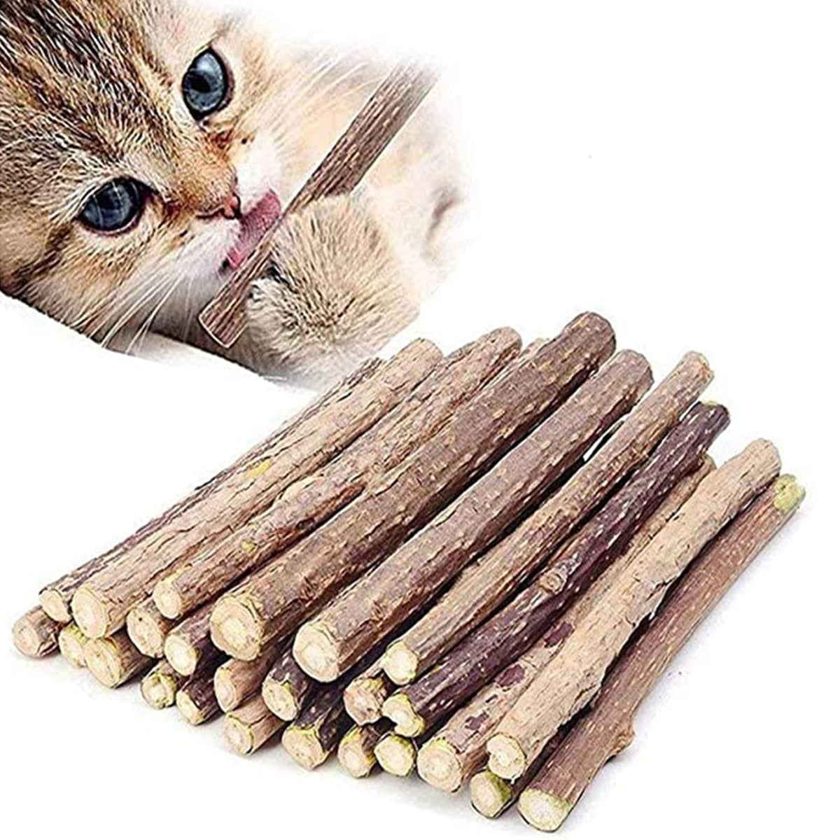 Ueerdand bâton chat organique visible, texture naturelle et sécurité pour le chat.