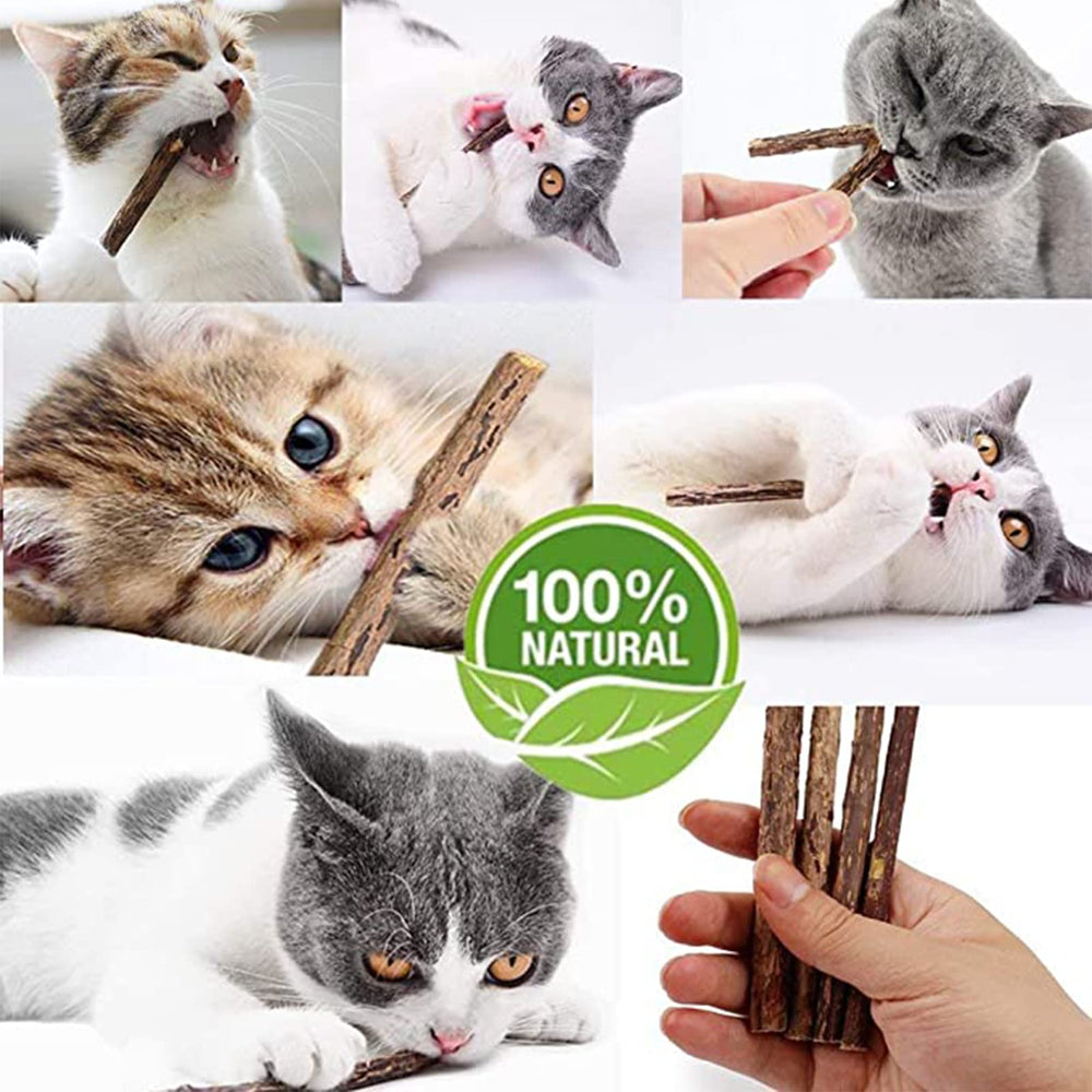 Ueerdand baton chat entretient dents et relation, grâce au matériau naturel.
