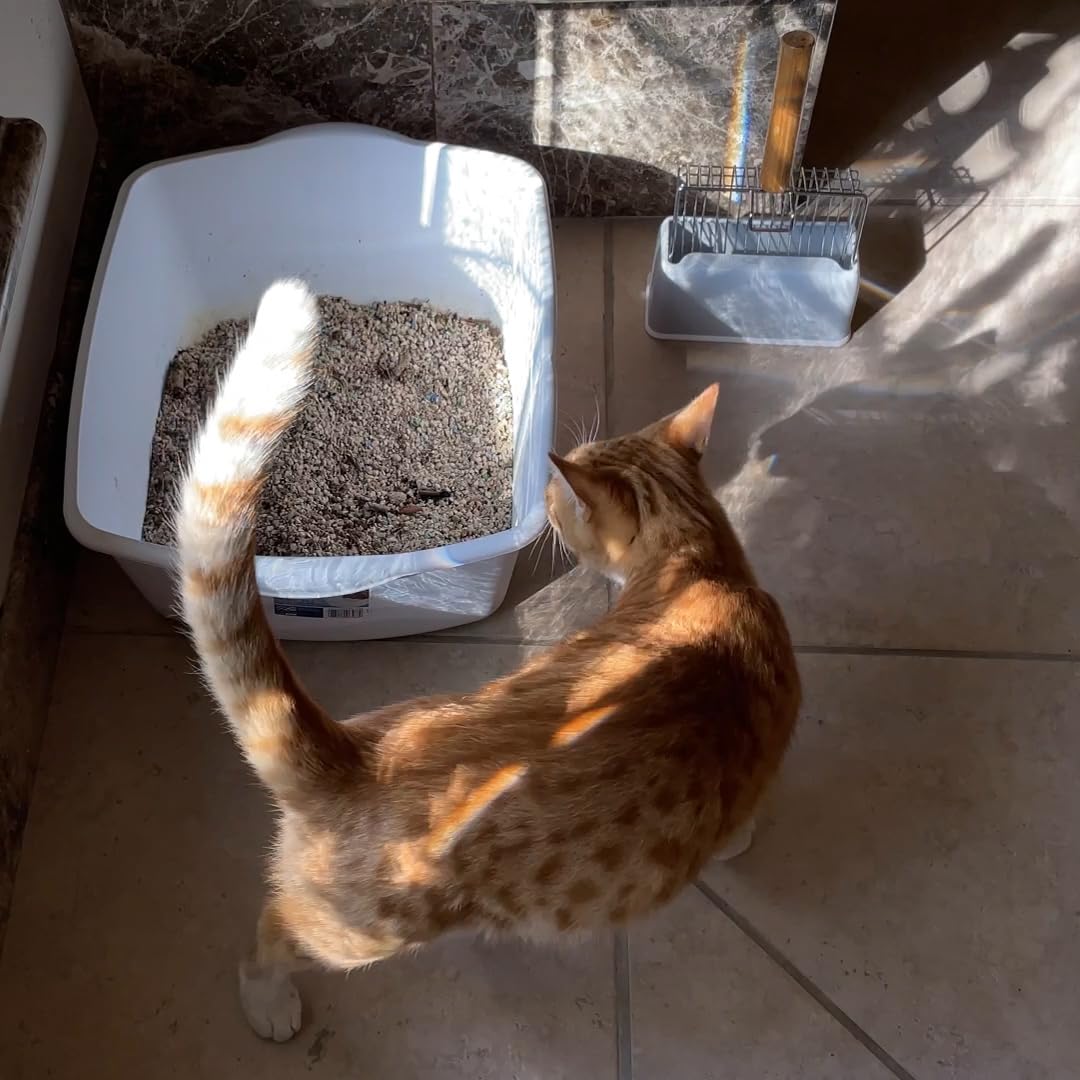 UFECODO Compatibilite-toutes-litières-chat, usage polyvalent.