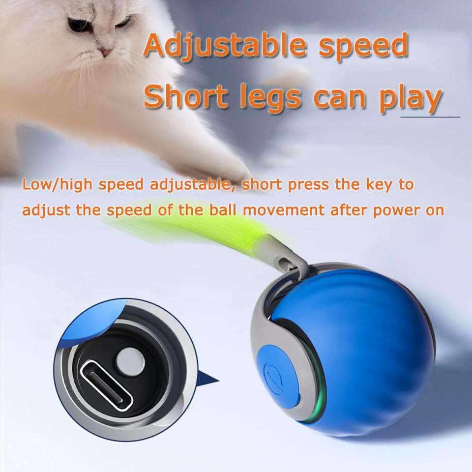 ugdurwp Speedy 2.0 bouton vitesse double: adapte le jeu à l’énergie du chat