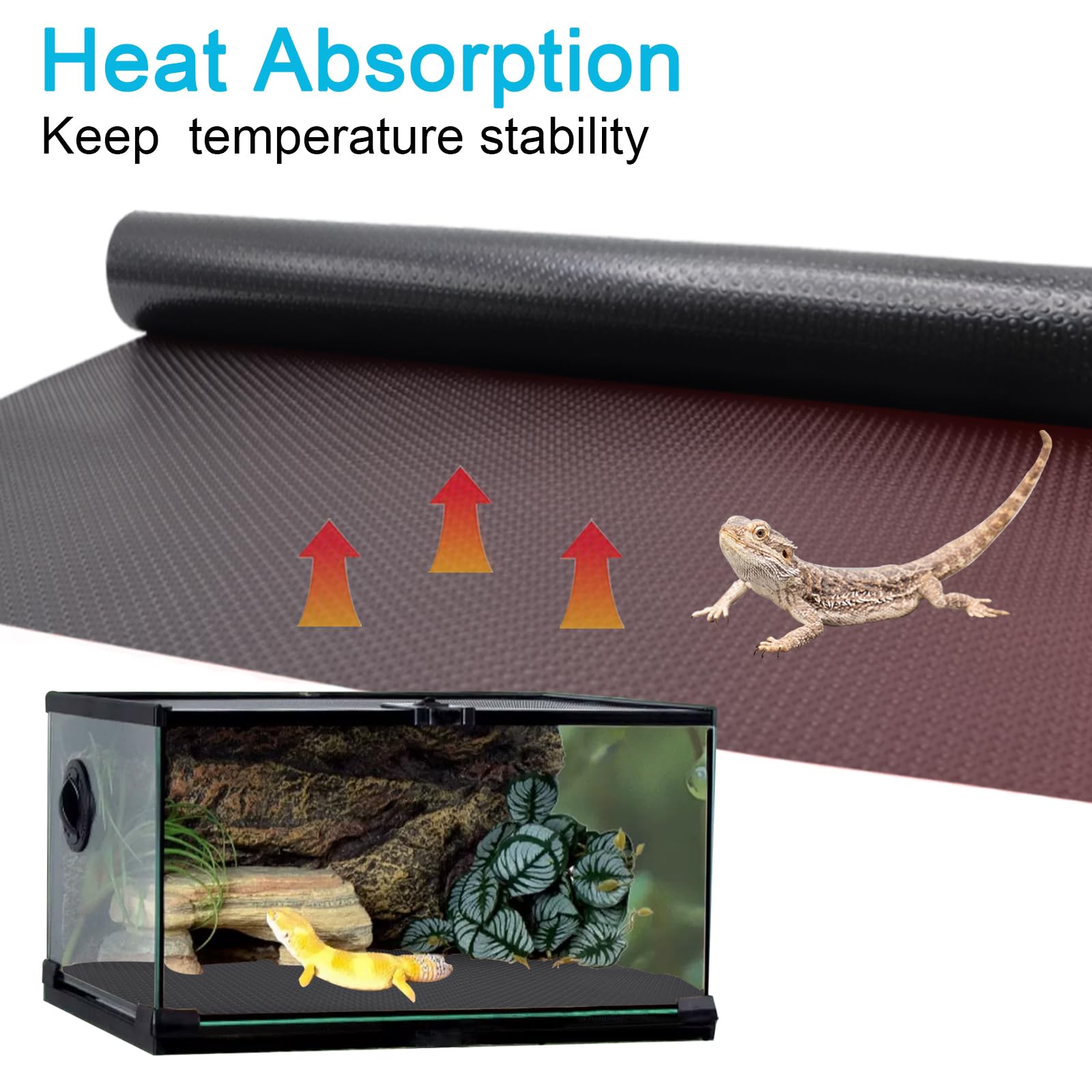 Compatible dragon barbu, gecko léopard et autres reptiles