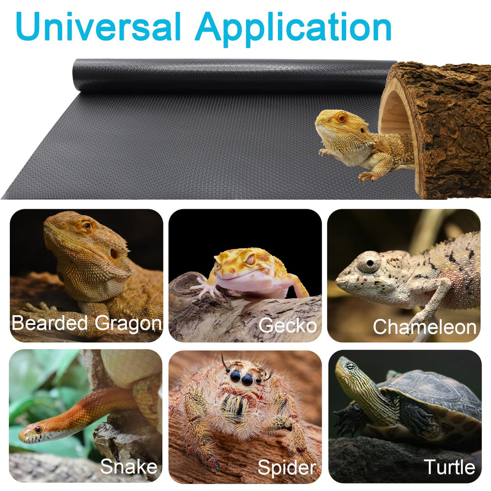 Entretien simple: essuyer ou laver avec solution reptile-safe