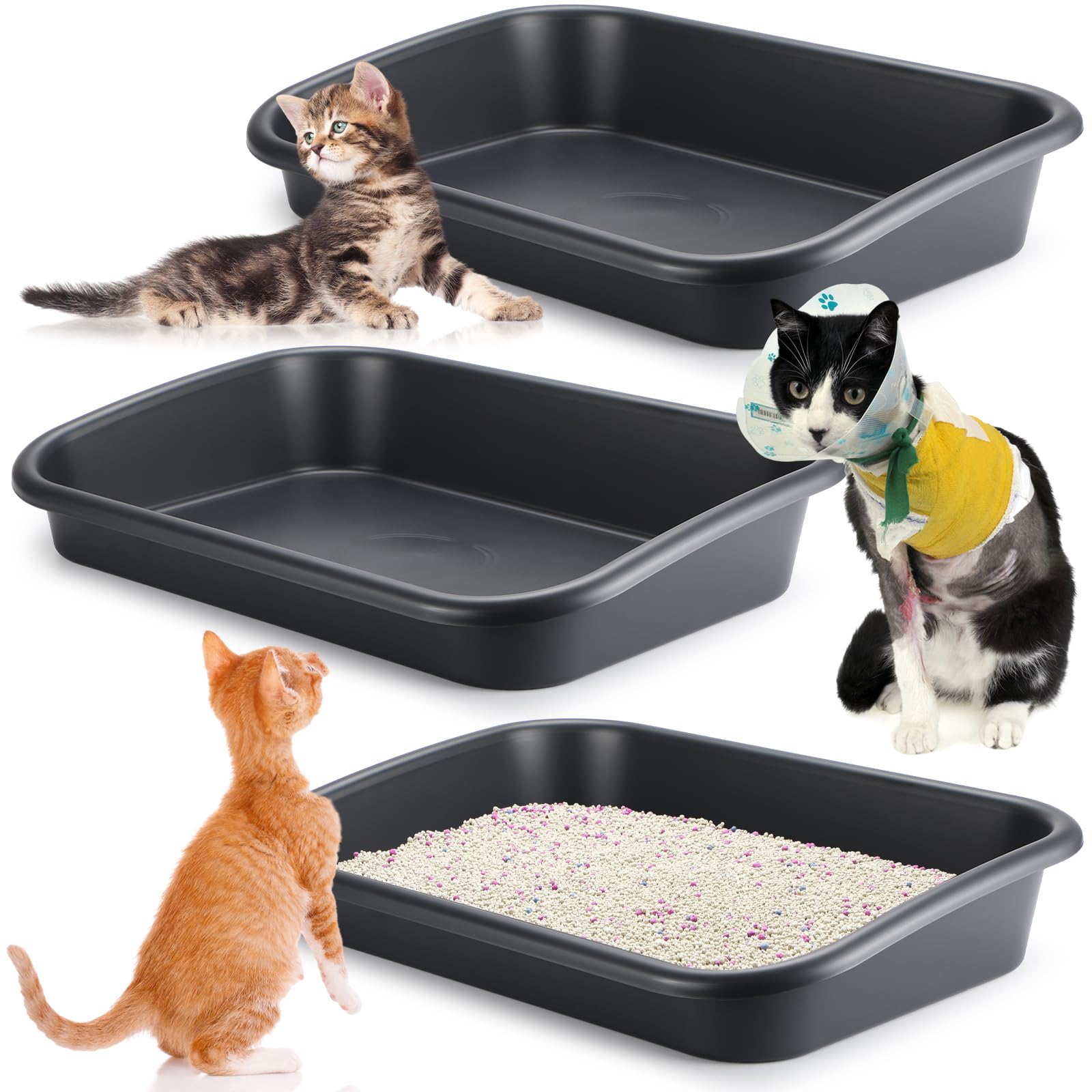 Uiifan litière entrée basse grand format facilite l'accès des chats âgés.