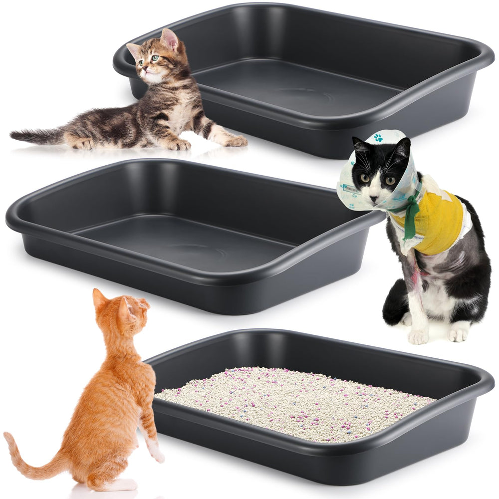 Uiifan litière entrée basse grand format facilite l'accès des chats âgés.
