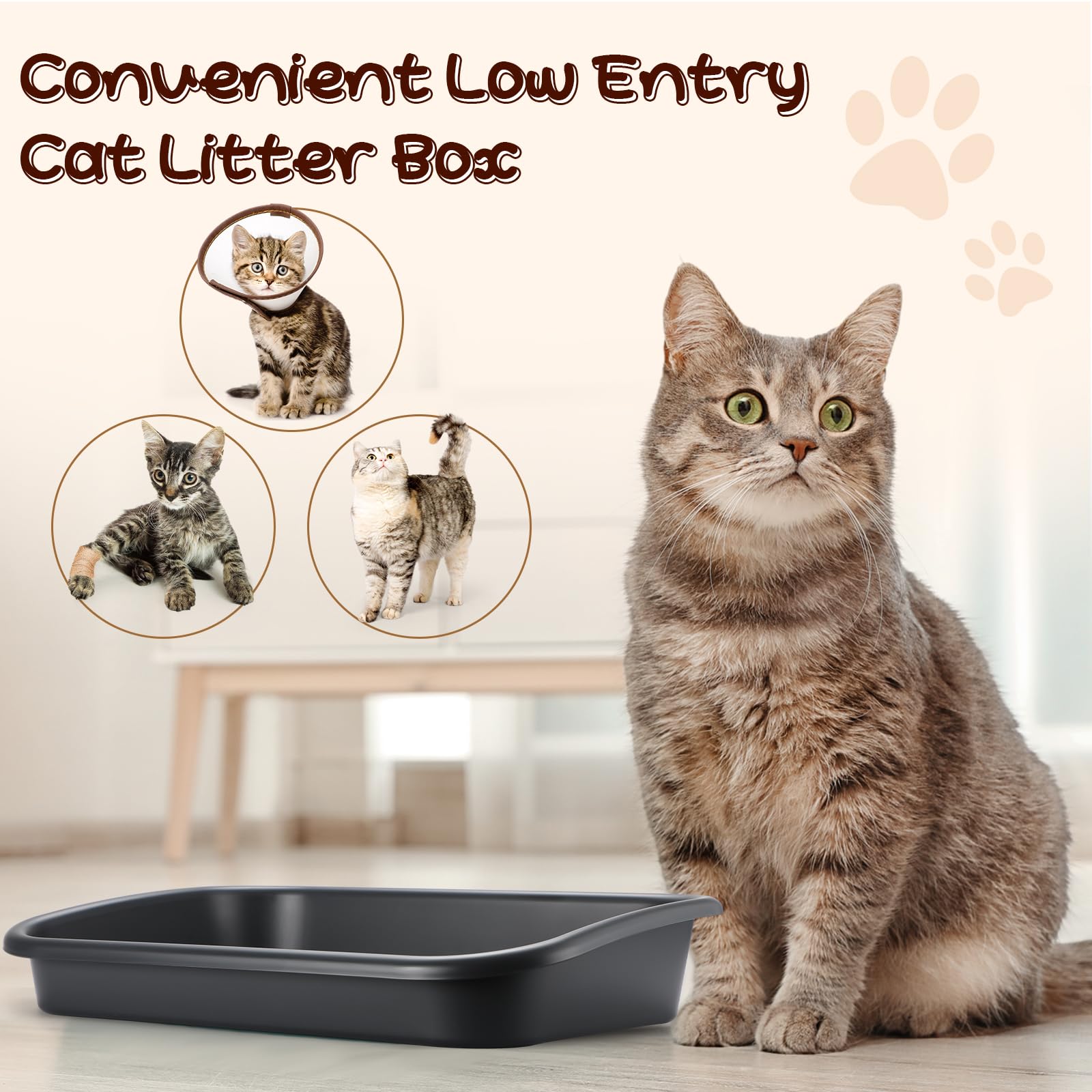 Uiifan litière utilisation quotidienne polyvalente pour seniors et chats.