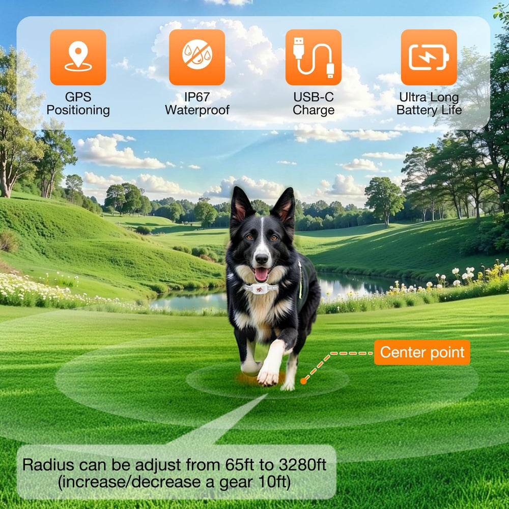 UJQW GPS – Pédomètre et suivi d’activité pour chiens, jour après jour.