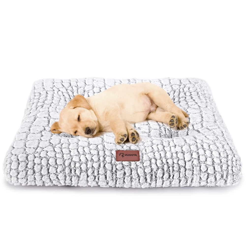 ULIGOTA lit caisse doux dessus peluche offre un repos tres confortable pour les petits chiens.