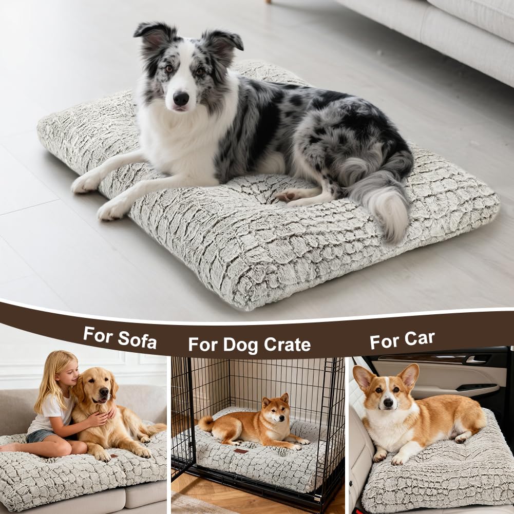 ULIGOTA utilisation-dans-caisse – parfait compagnon de couchage pour chiens.