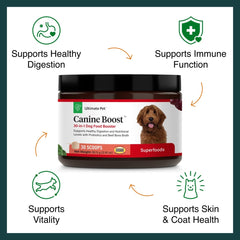 Canine Boost en poudre dans une bouteille prête à mélanger.