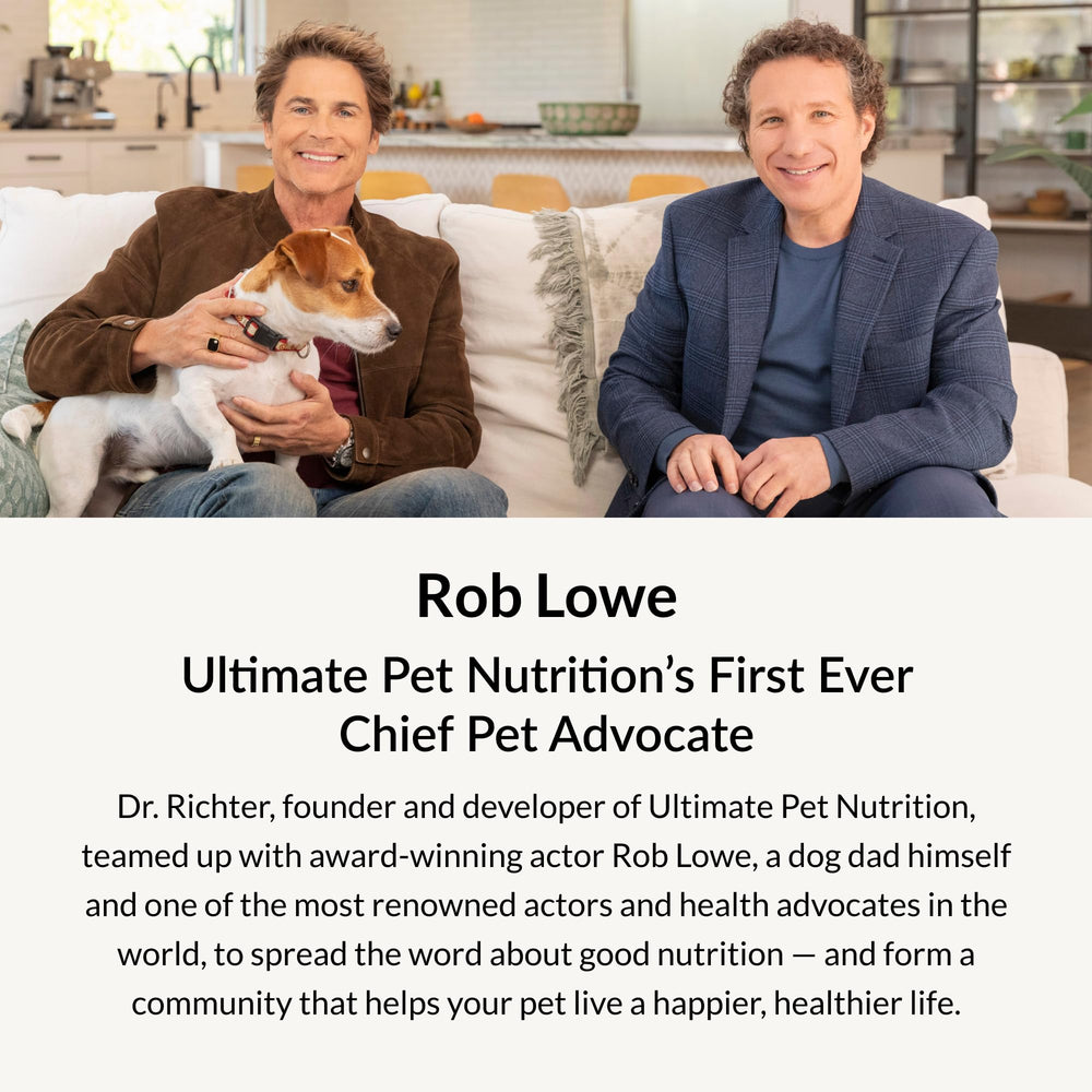 Légumes et graines dans Canine Boost pour des antioxydants naturels.