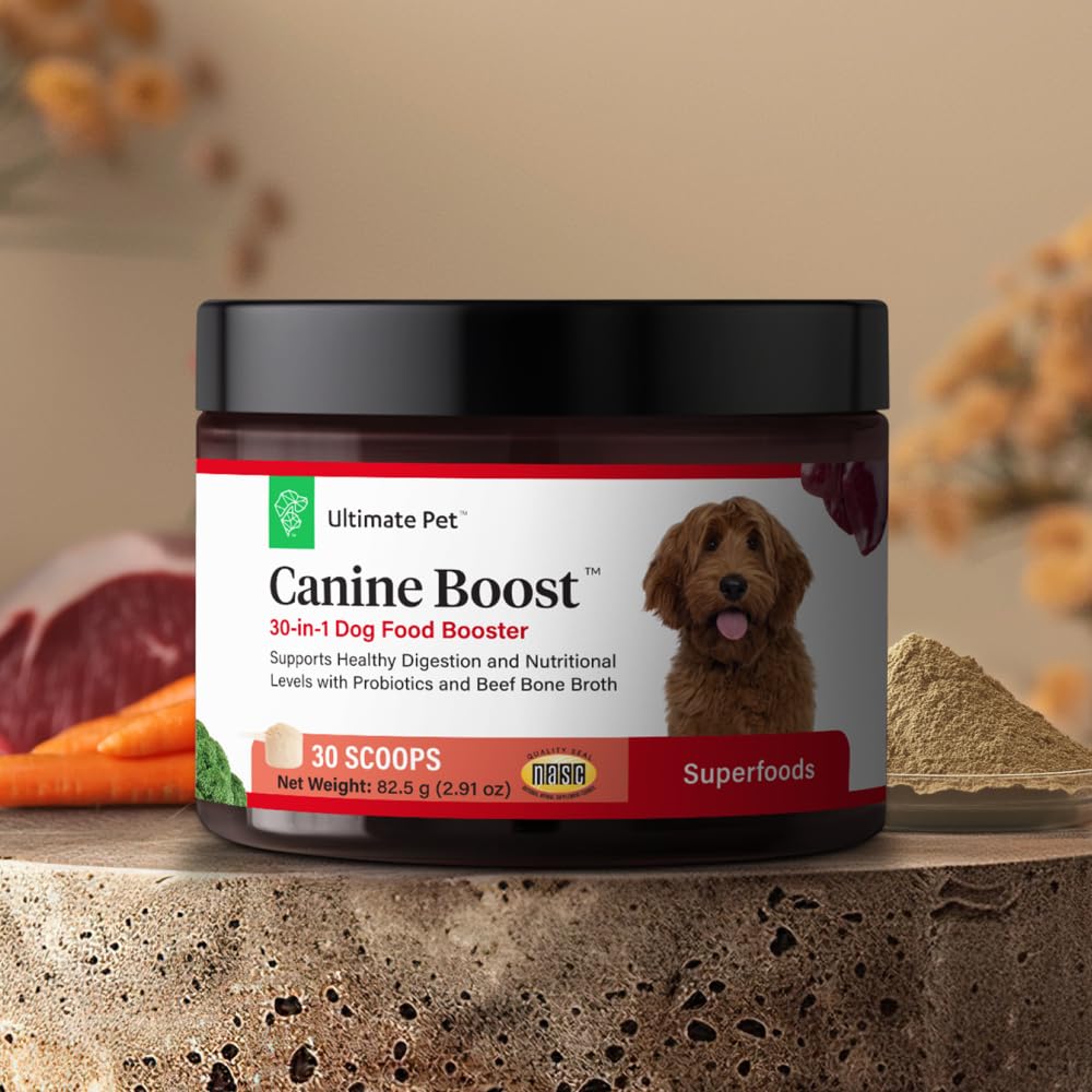 Probiotiques en poudre Canine Boost soutenant la digestion.