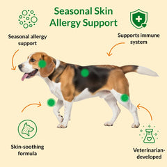 ULTIMATE PET NUTRITION Canine Radiance comprimés à mâcher: goût boeuf-beurre apprécié