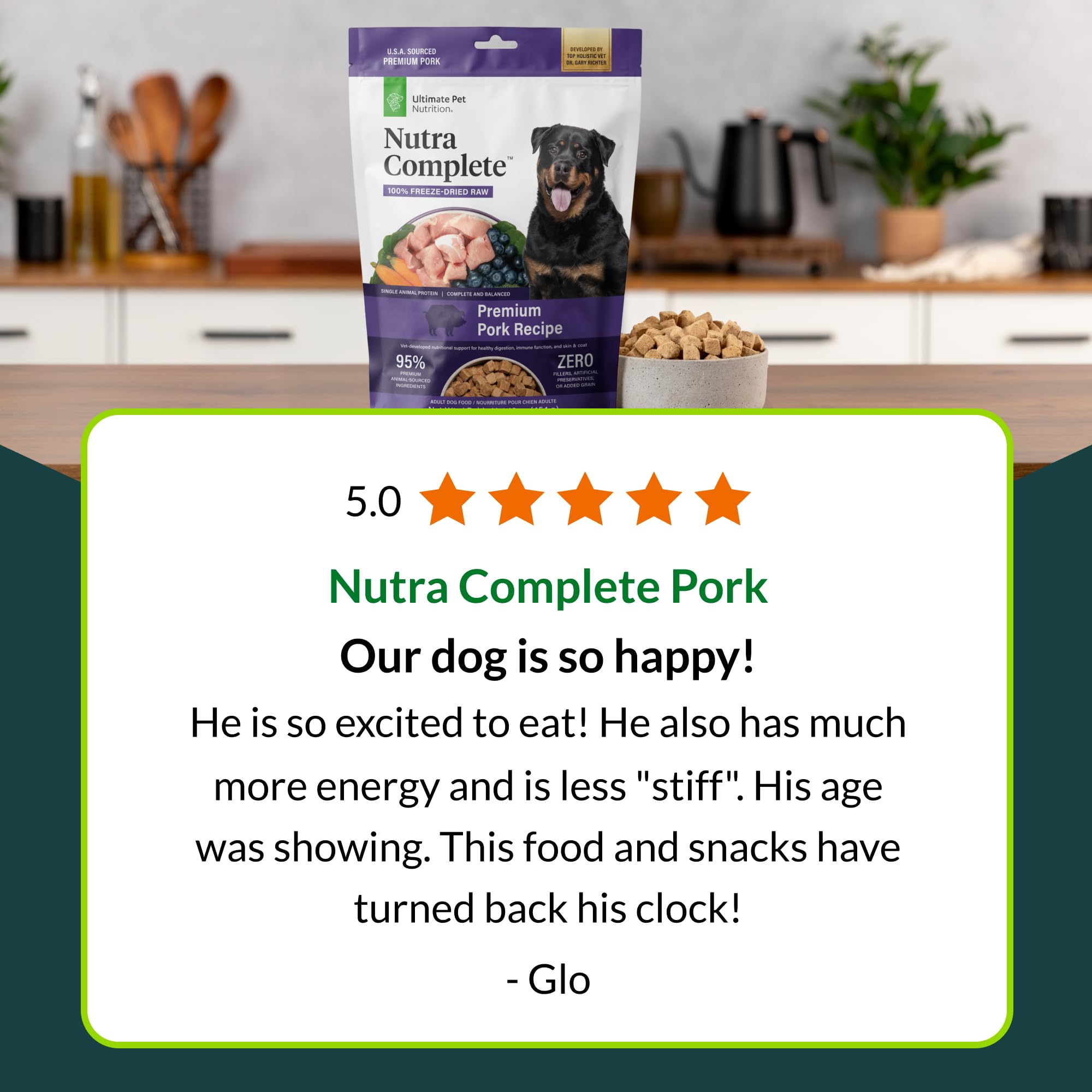 Nutra Complete d’Ultimate Pet Nutrition, bol de repas prêt à servir pour chien.