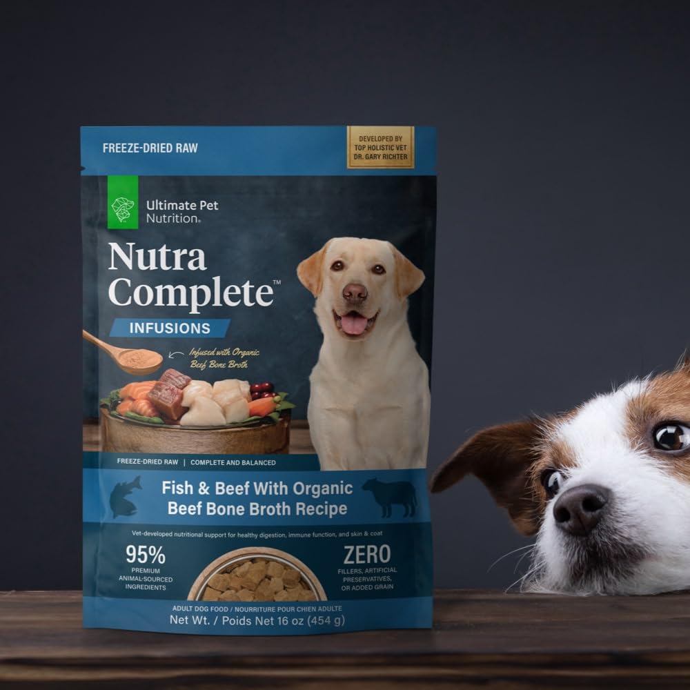 Nutra Complete Infusions : option mixer pour enrichir l’alimentation actuelle.