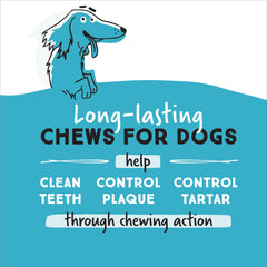 Ultra Chewy Double Treat Bones – centre moelleux visible, friandise appétente.