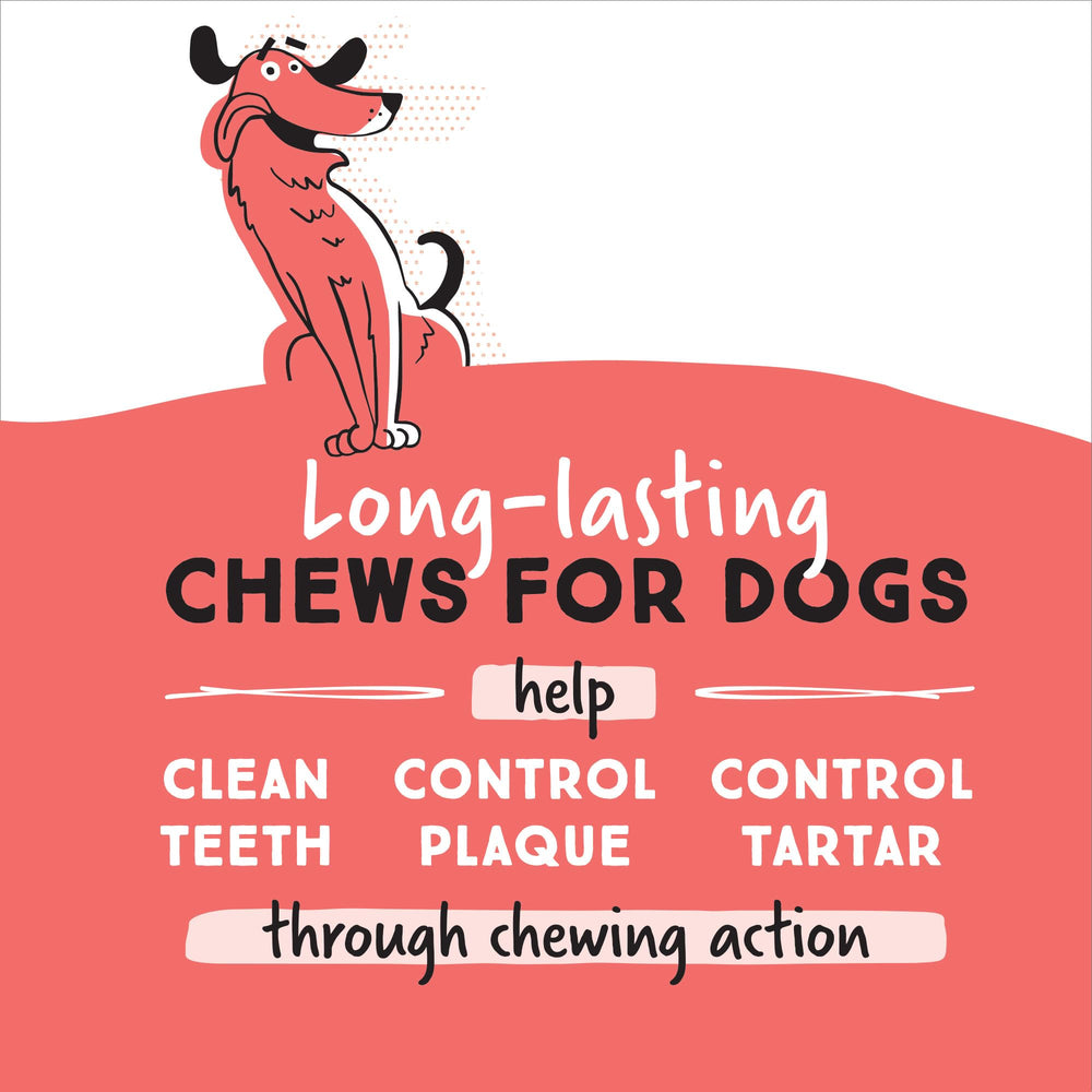 Ultra Chewy Os Double Treat: cœur mou et savoureux pour satisfaire l’instinct de mâcher.