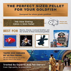 Ultra Fresh amélioration couleur goldfish pour teintes plus vives.