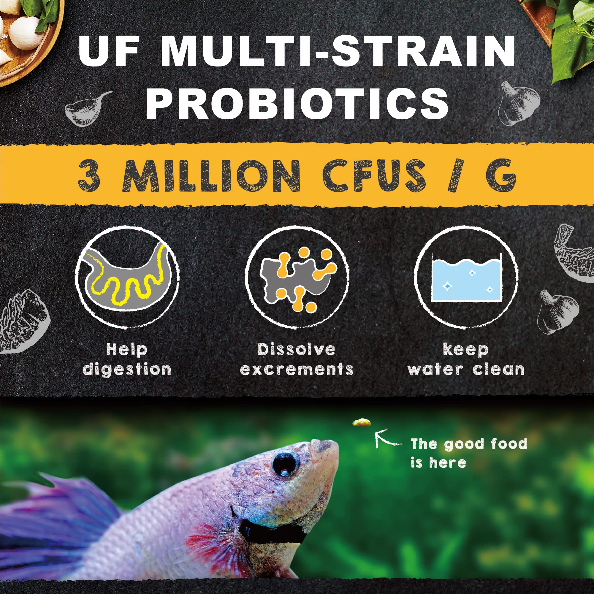 Ultra Fresh Betta Pro : facilité d’utilisation et entretien d’aquarium plus propre