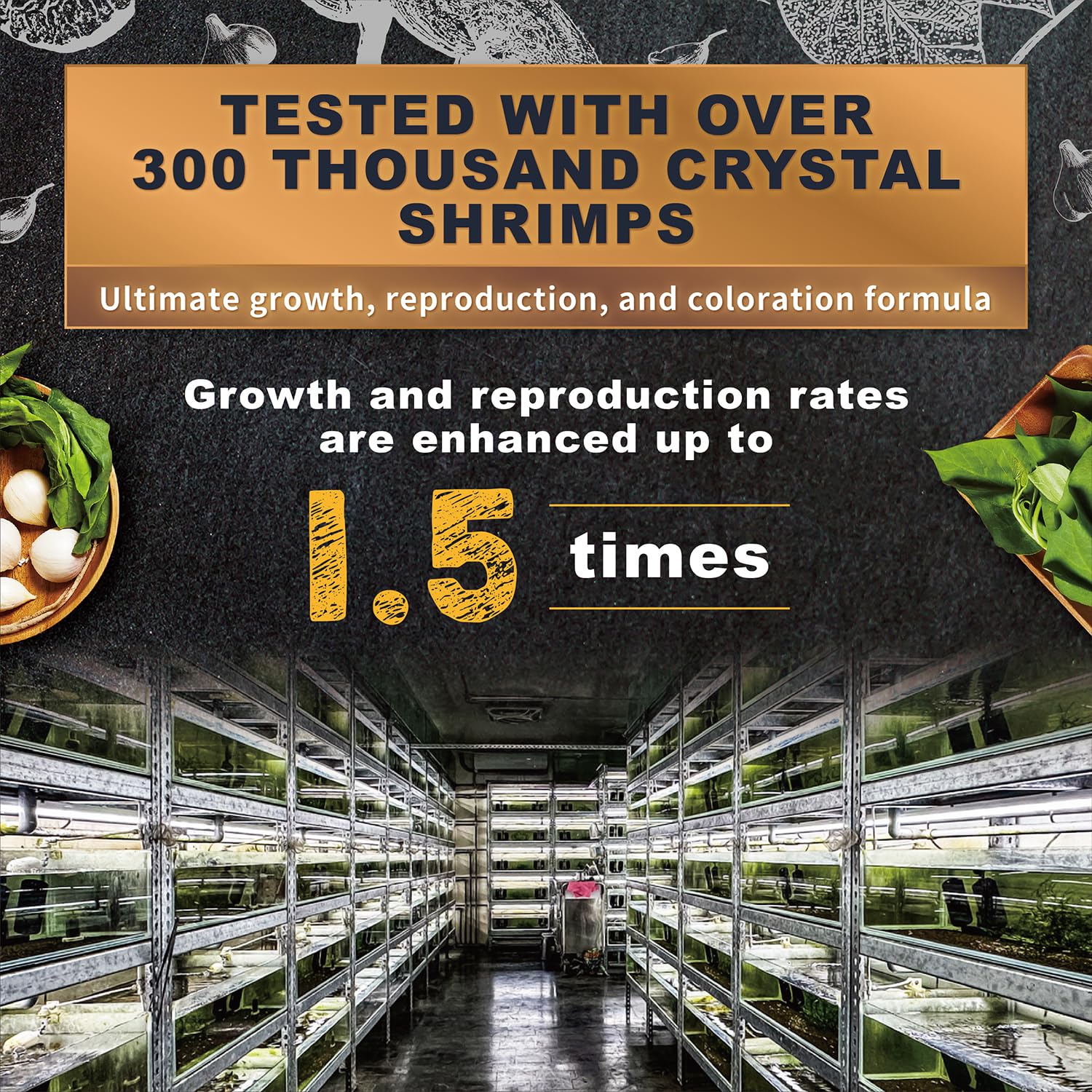 Ultra Fresh : crevettes dans l'aquarium montrant couleur et vitalité.