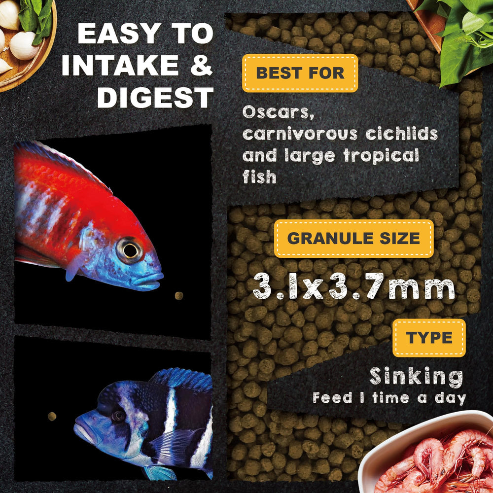 Coloration naturelle des poissons améliorée par spiruline et algues dans Ultra Fresh Royal Cichlid.