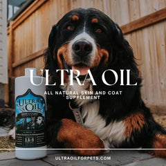 Ultra Oil – dose pompe pratique à ajouter à l’alimentation quotidienne