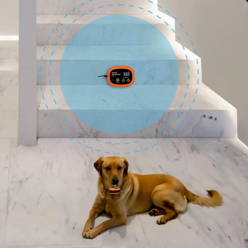 UltraCrab barrière intérieure pour chien dans le salon, délimitation des zones