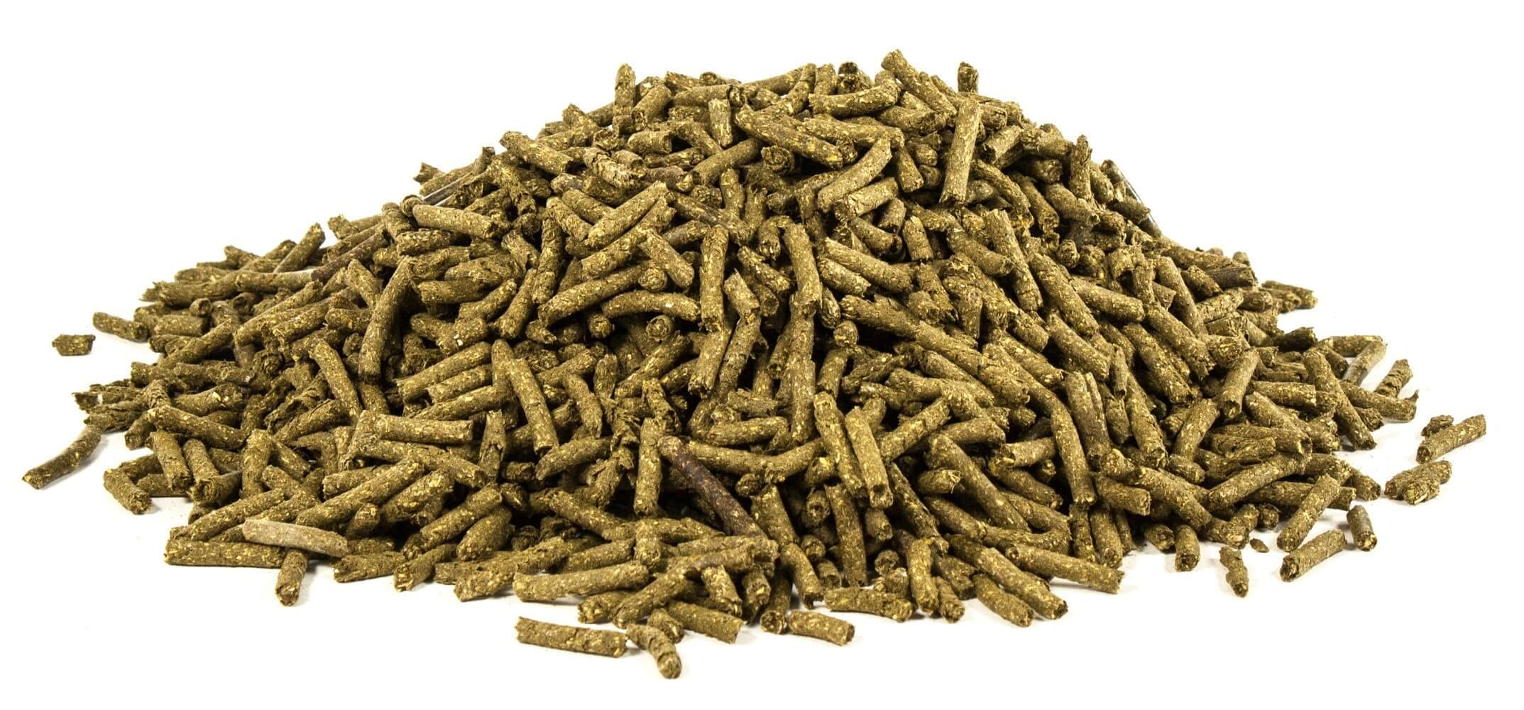 UltraCruz: biotine, lysine et minéraux pour la solidité des sabots.