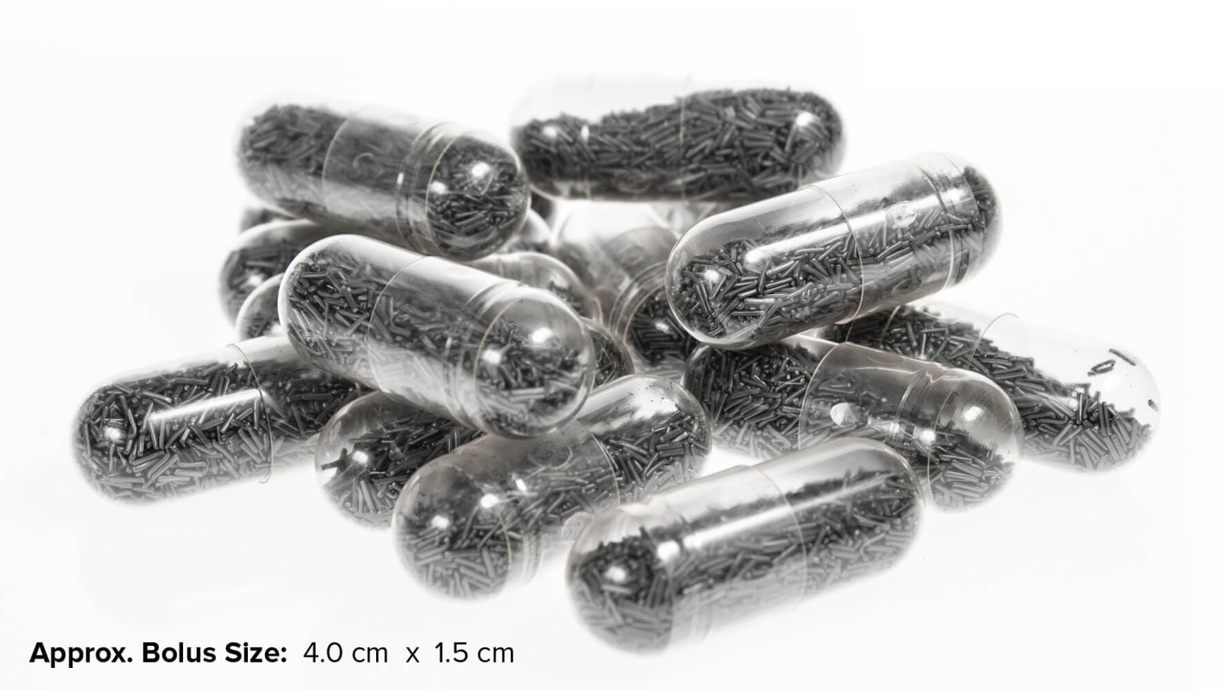 Bolus cuivre UltraCruz pour bovins — démonstration d'administration avec le pistolet