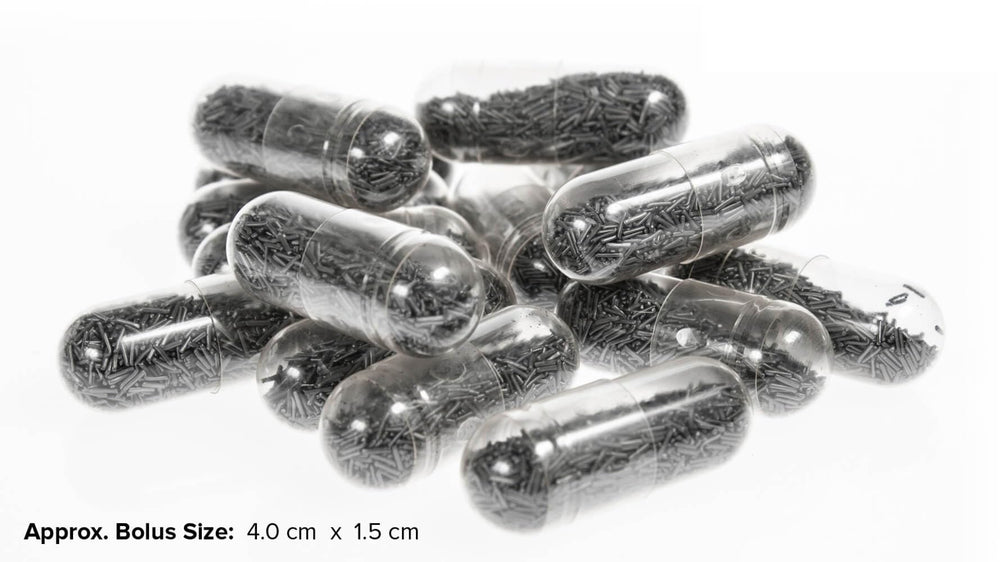 Bolus cuivre UltraCruz pour bovins — démonstration d'administration avec le pistolet