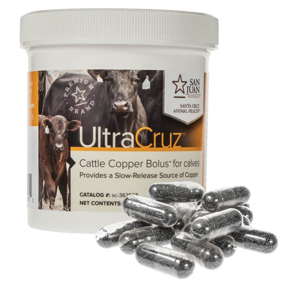 Bolus cuivre UltraCruz pour bovins — emballage pratique pour le stockage et l'organisation