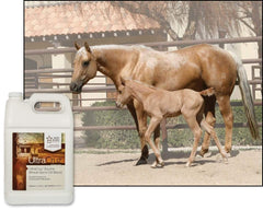 Bouteille UltraCruz prête à verser, supplément énergétique pour chevaux actifs.