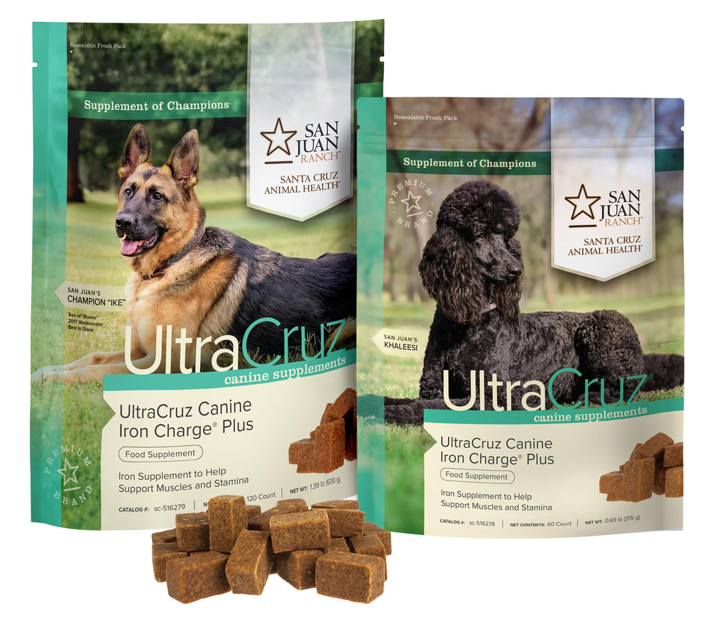 UltraCruz Iron Charge Plus chien en action, produit pour améliorer l'endurance lors des entraînements.