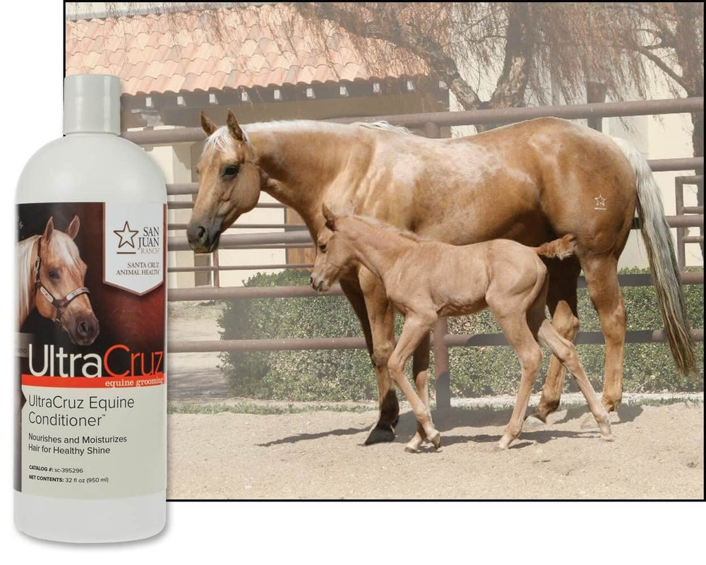 UltraCruz Conditionneur équin – flacon 32 oz pratique et économique.