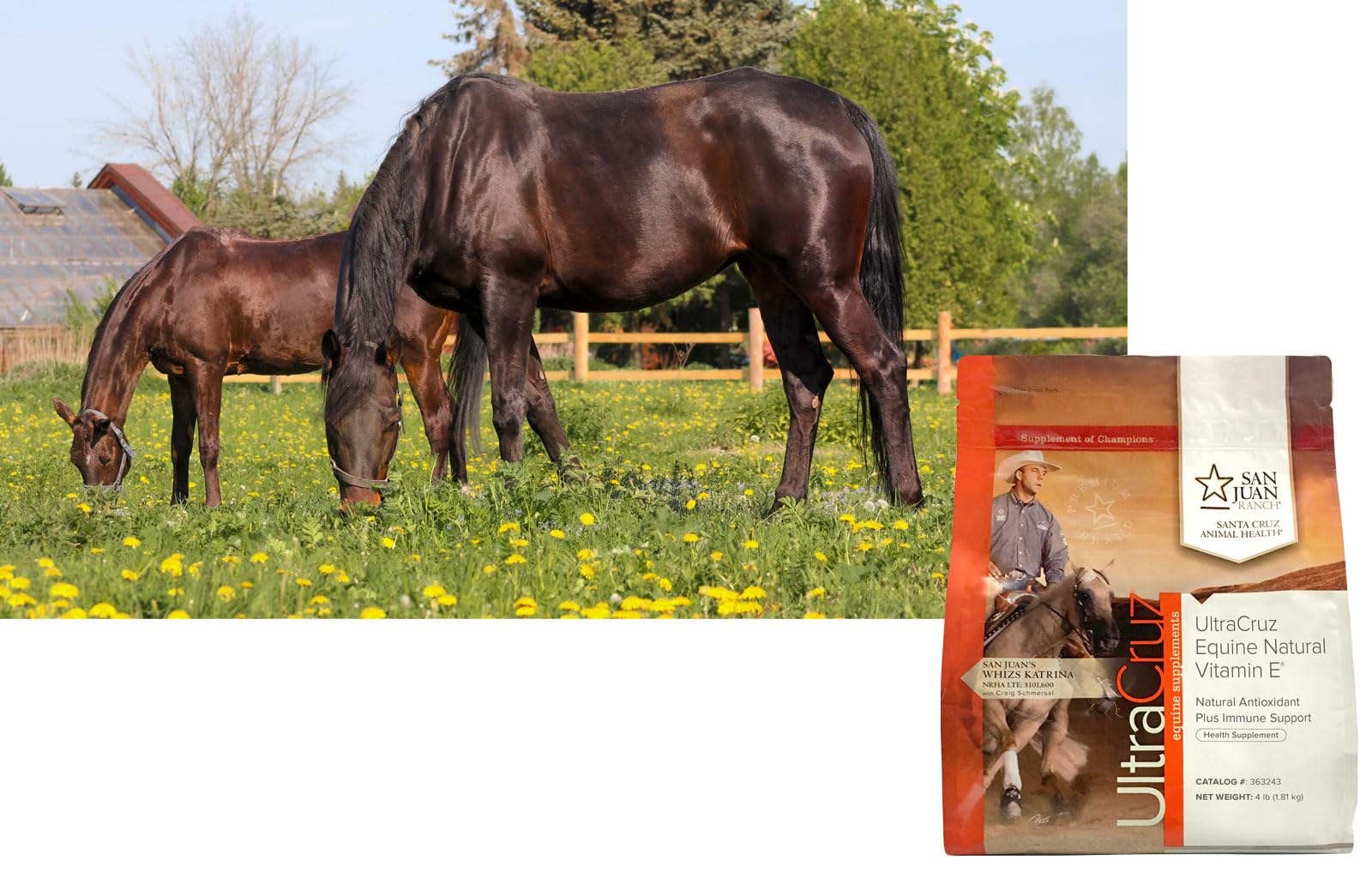 UltraCruz Equine Vitamin E naturel en poudre, soutien neuromusculaire et immunitaire chez les chevaux.