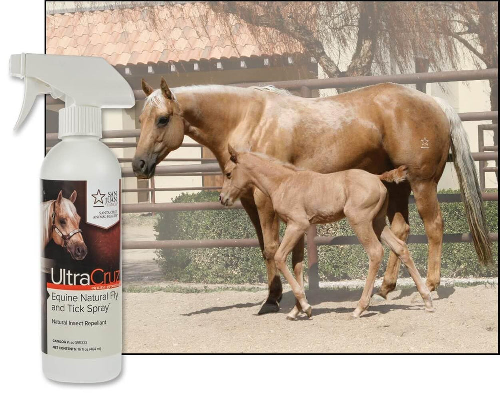 UltraCruz Equine – ingrédients: menthe poivrée et girofle pour repousser les insectes.