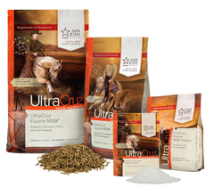 UltraCruz Équine MSM – focus sur les articulations et tissus conjonctifs du cheval