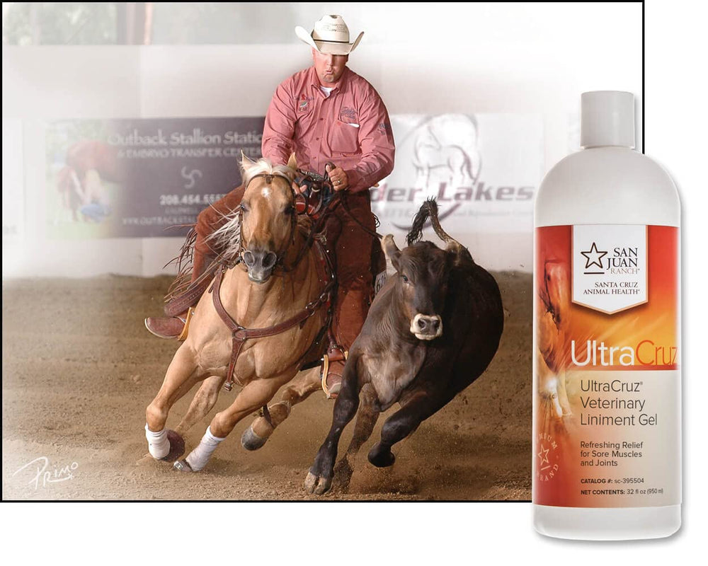 UltraCruz Liniment équin – soins des coupures et abrasions superficielles