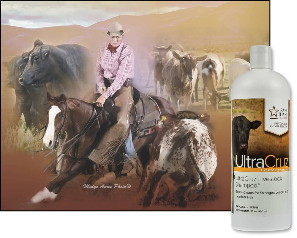 Ultracruz Shampoing pour Bétail – pH équilibré pour prévenir l'irritation cutanée