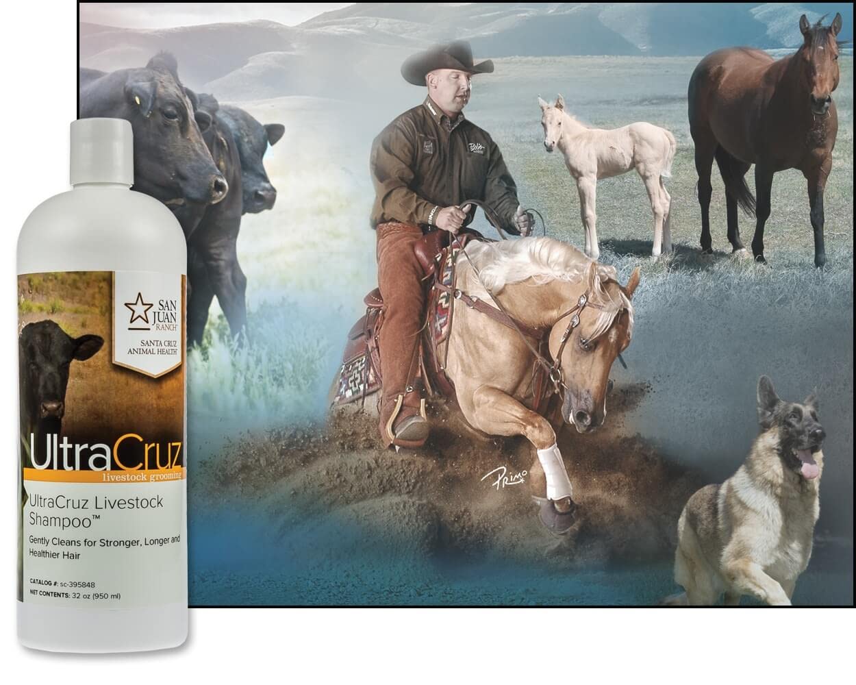 Ultracruz Shampoing pour Bétail – protéines et collagène renforçant les fibres