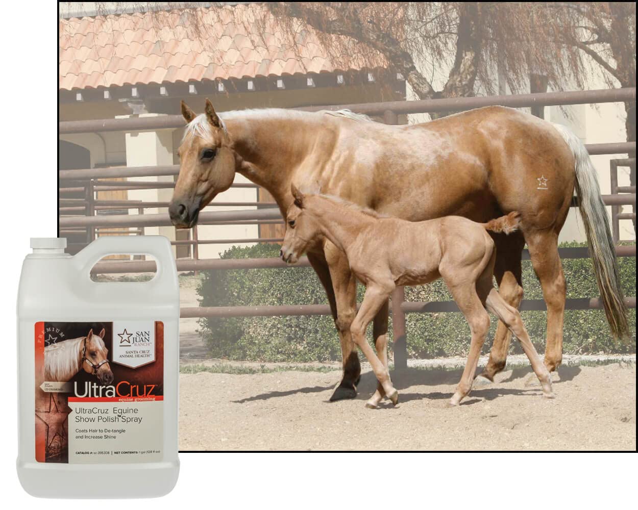 UltraCruz Polissage Équin - Gain de temps au toilettage et en concours.
