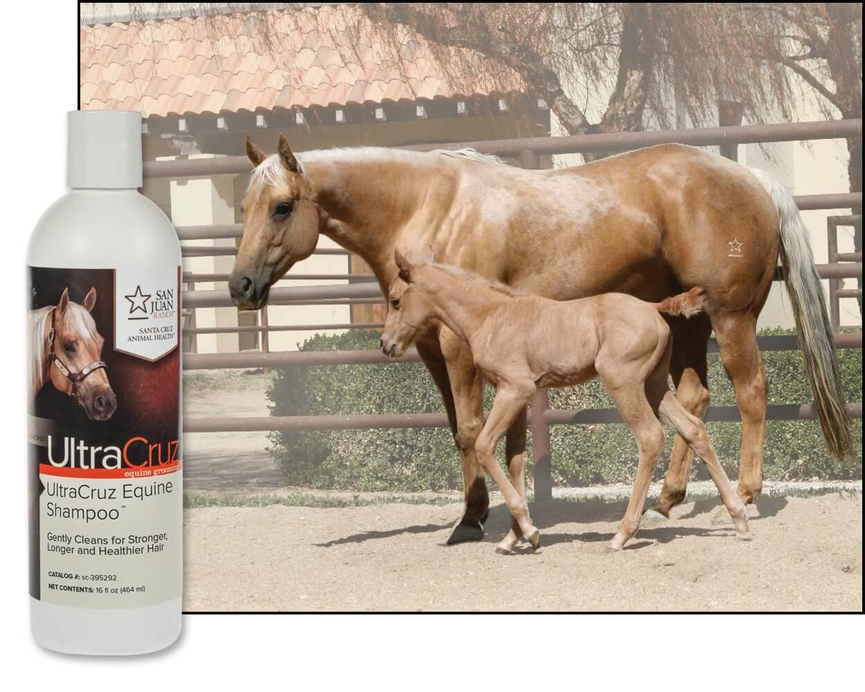 UltraCruz Shampoing Équin Senteur Sauge Camomille Menthe Poivree : parfum léger et expérience relaxante.
