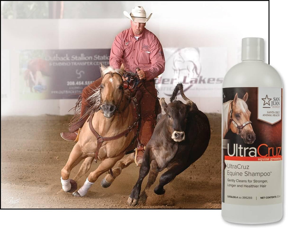 Shampoing UltraCruz équin, mousse riche purifiante