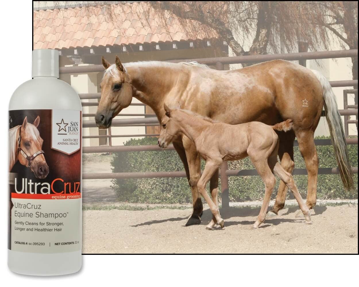 Protéines hydrolysées et Aloe Vera nourrissent le pelage UltraCruz