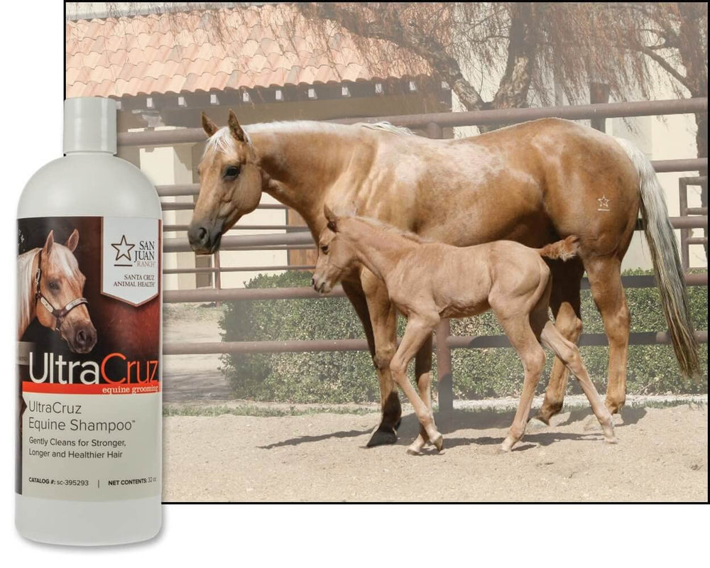 Protéines hydrolysées et Aloe Vera nourrissent le pelage UltraCruz