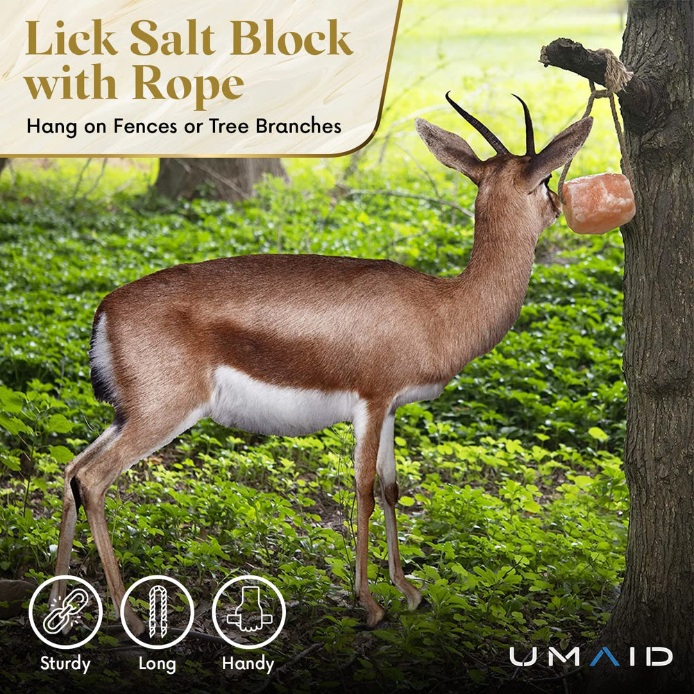 Bloc sel Himalaya UMAID accroché solidement sur corde.