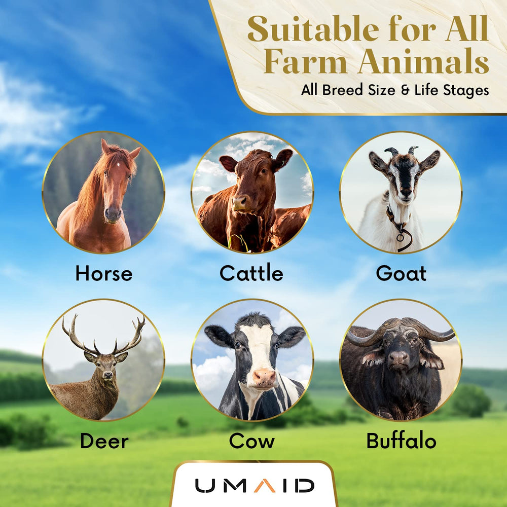 Interaction animale avec le sel UMAID, enrichissement naturel.