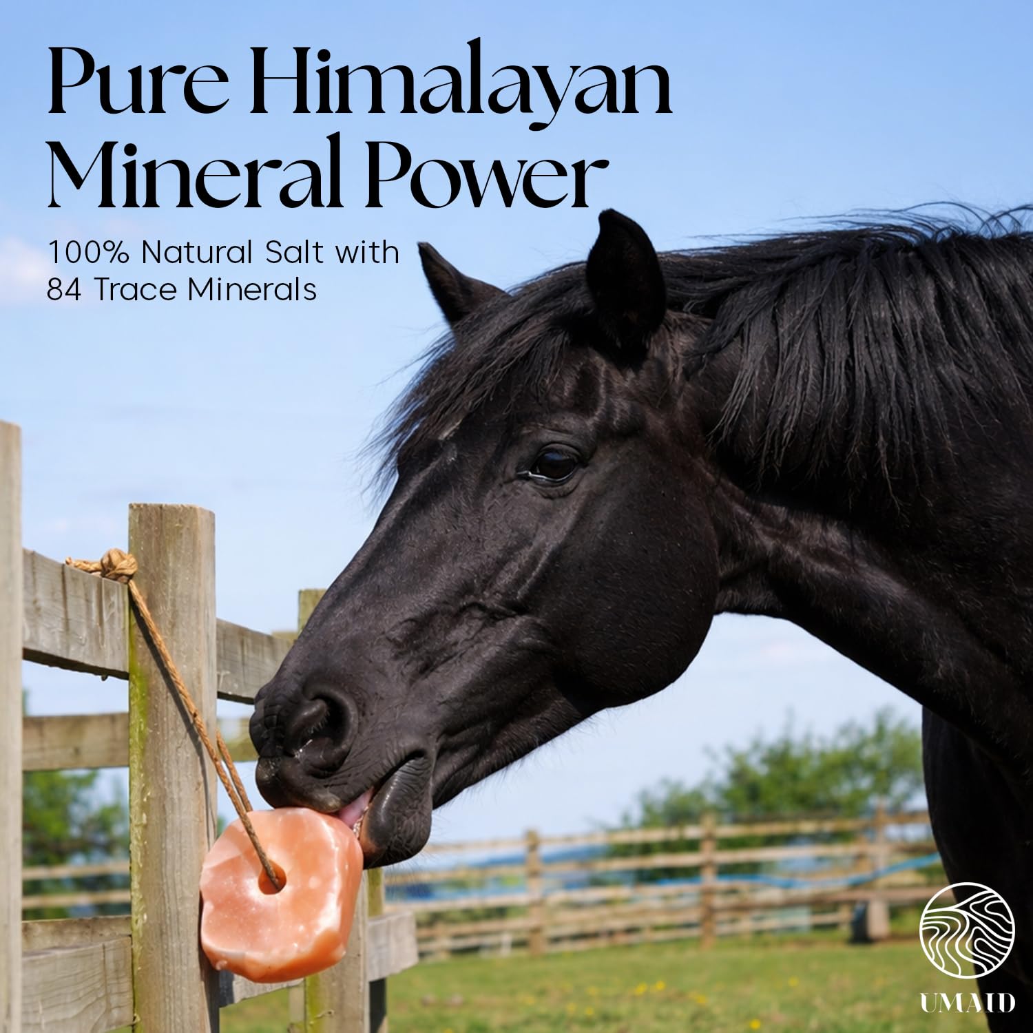 UMAID Sel Himalayen en corde pour cerf, soutien nutritionnel naturel lors des pâturages.