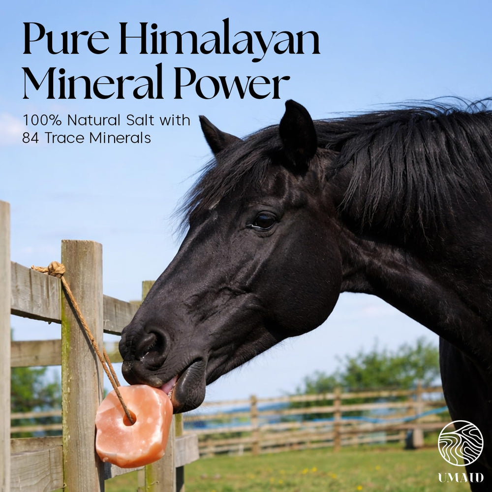 UMAID Sel Himalayen en corde pour cerf, soutien nutritionnel naturel lors des pâturages.